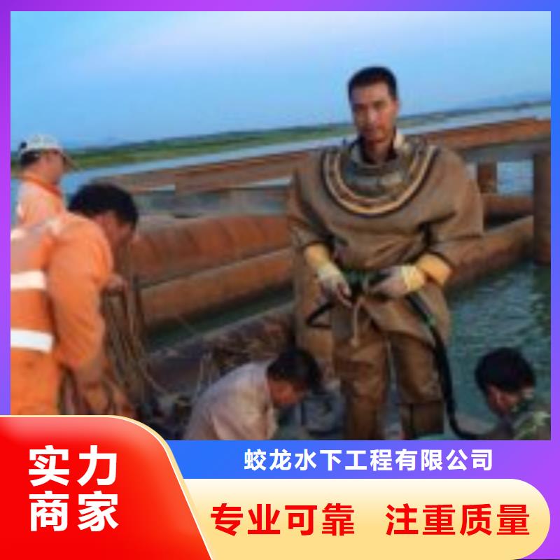 2025报价快的#蛙人作业队伍#厂家