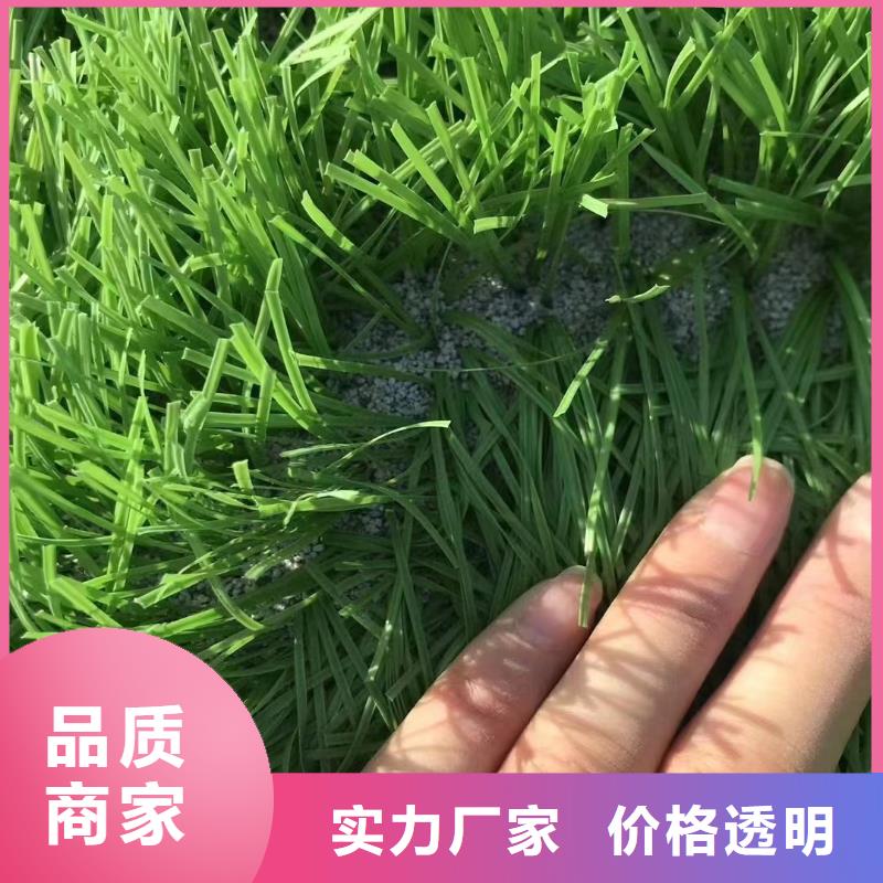石英砂鹅卵石厂家现货供应