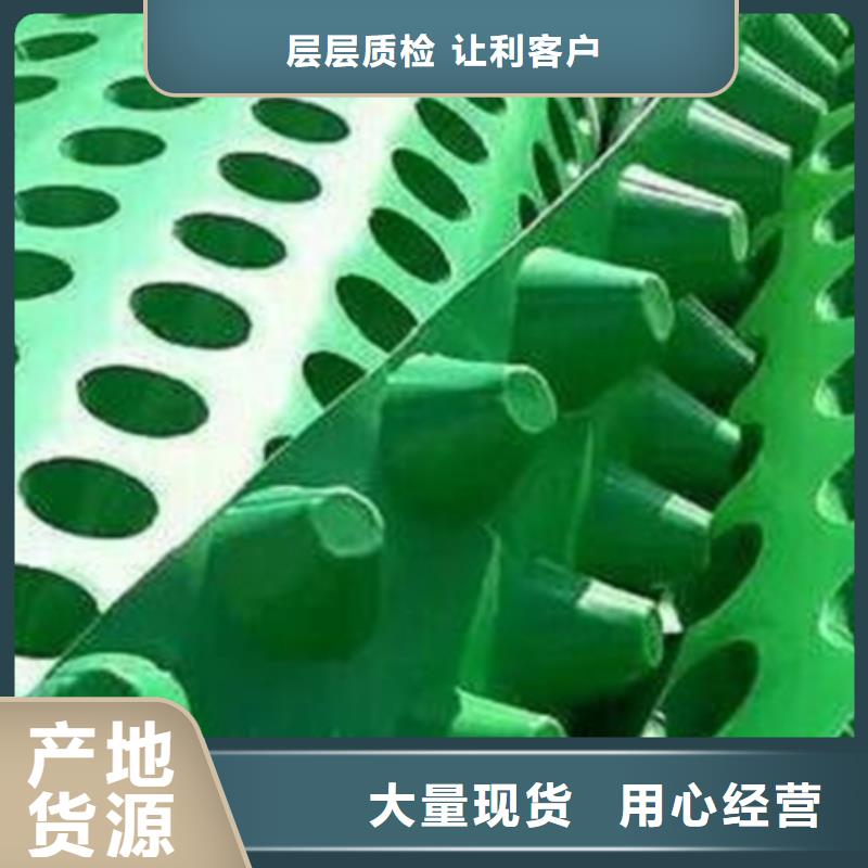 排水板植草格多年行业经验