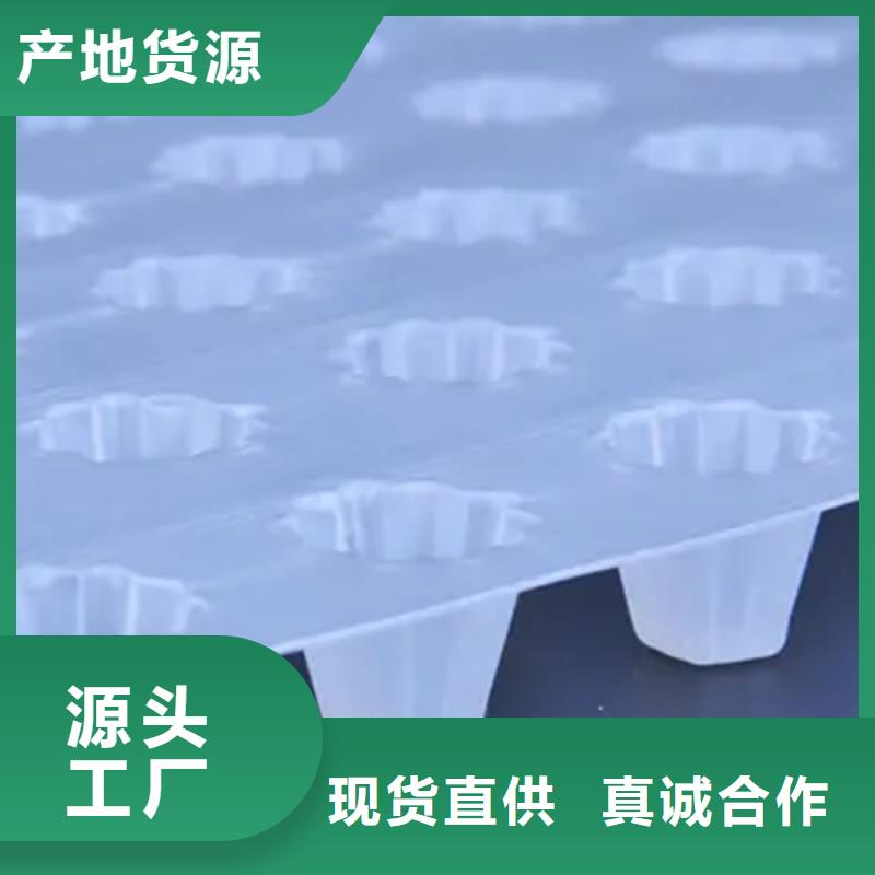 车库排水板工厂供应