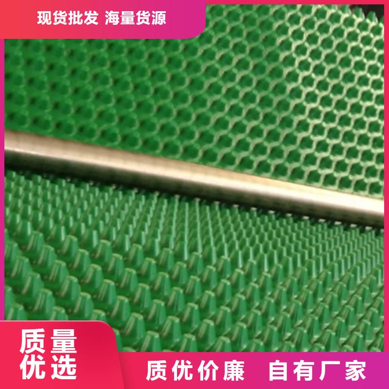 排水板水泥化粪池支持加工定制