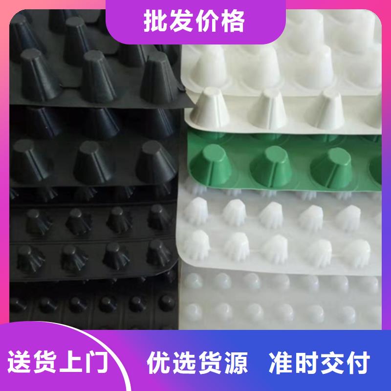 排水板植草格极速发货