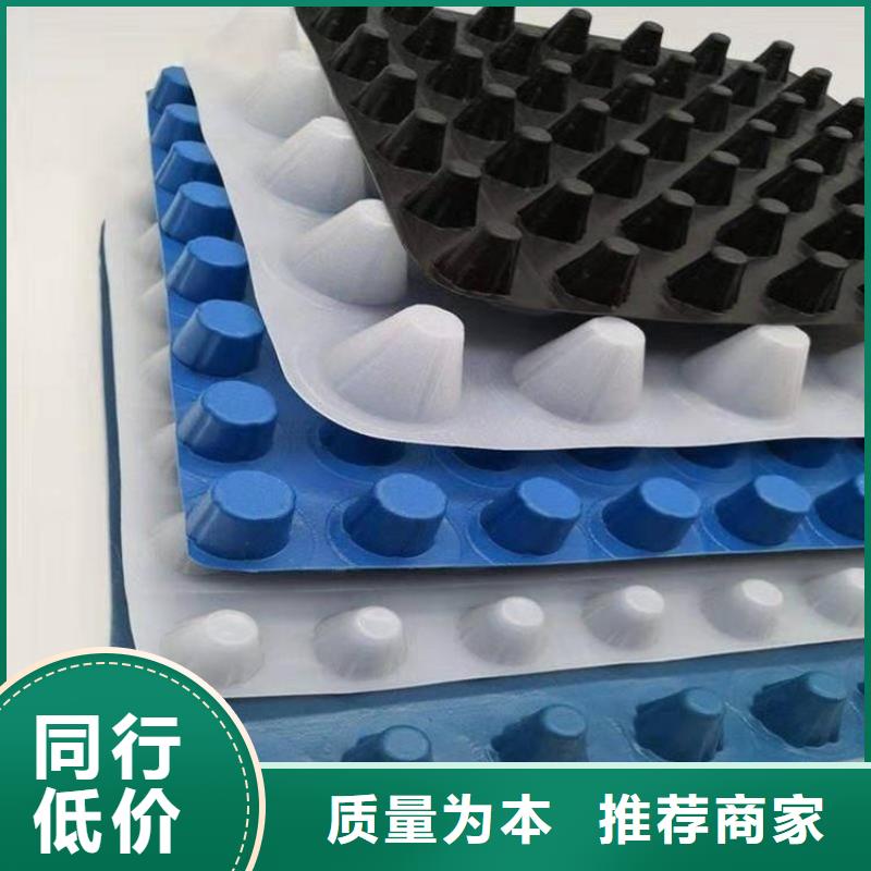 【排水板】水泥化粪池专业品质