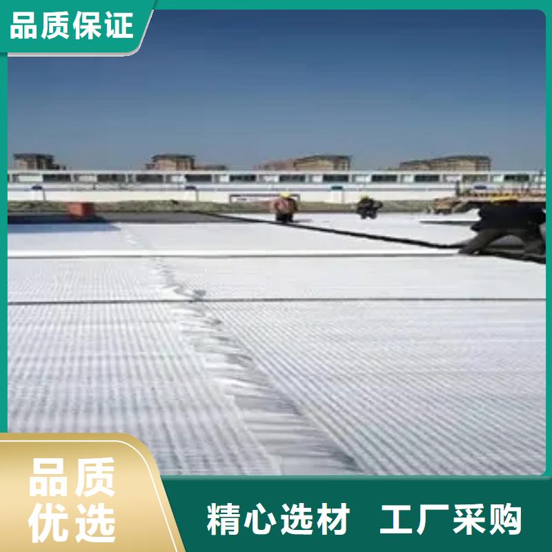 虹吸排水【植草格】直销厂家