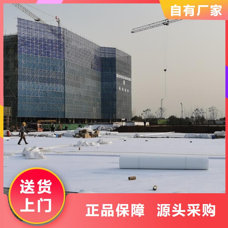 【虹吸排水】,水泥化粪池服务始终如一