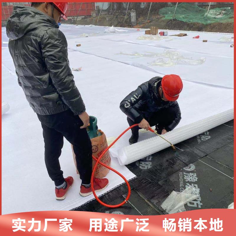 防护虹吸排水收集系统工厂直营店-批发价