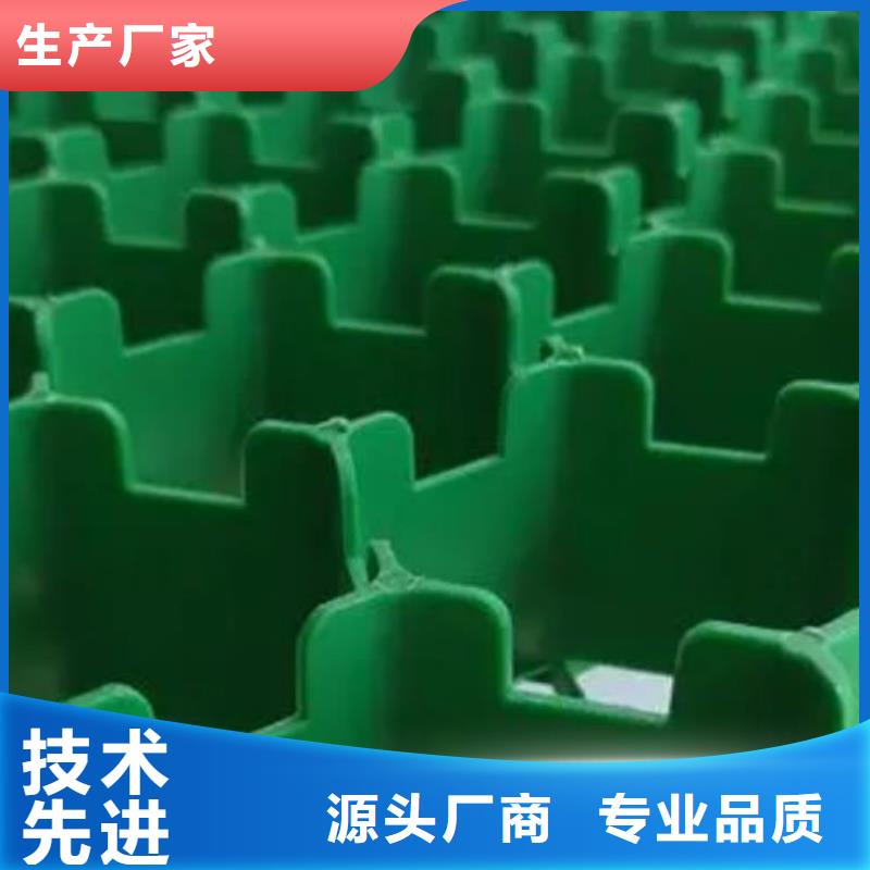 植草格植草格实拍展现
