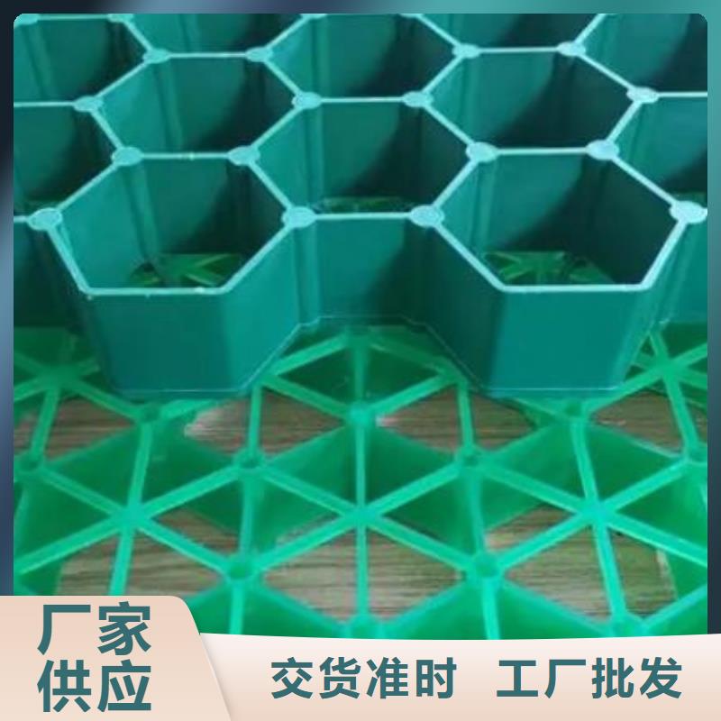 塑料植草格-植草格厂家