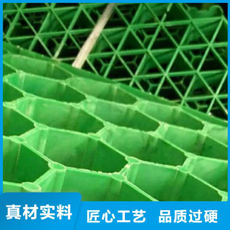 植草格-植草格认准大品牌厂家