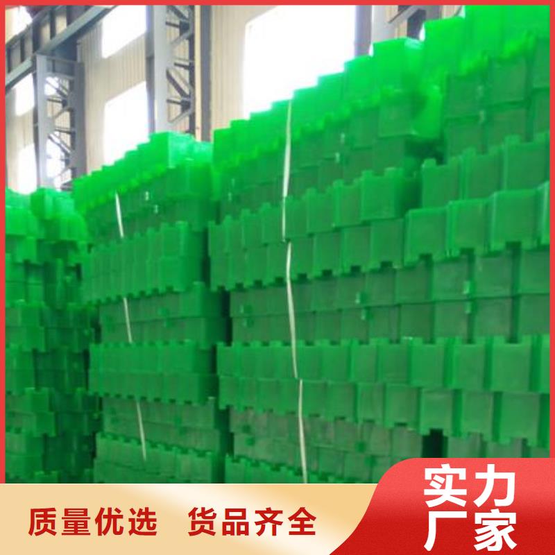 植草格_防护虹吸排水收集系统大厂家实力看得见