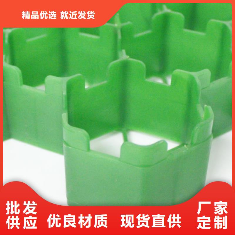 植草格排水板高品质现货销售