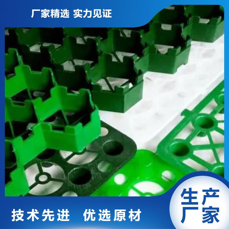 植草格水泥化粪池精工细致打造
