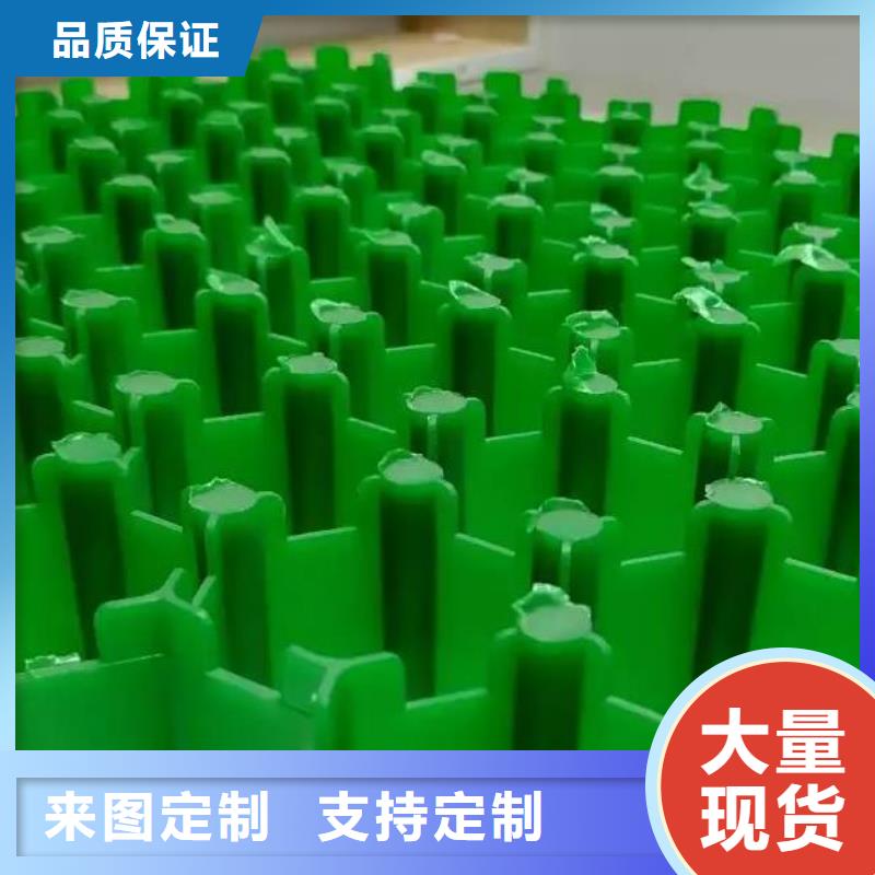 【植草格】防护虹吸排水收集系统支持大小批量采购