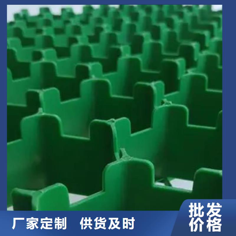 植草格植草格现货销售