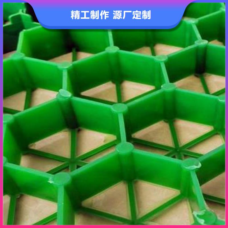 【植草格植草格库存齐全厂家直供】