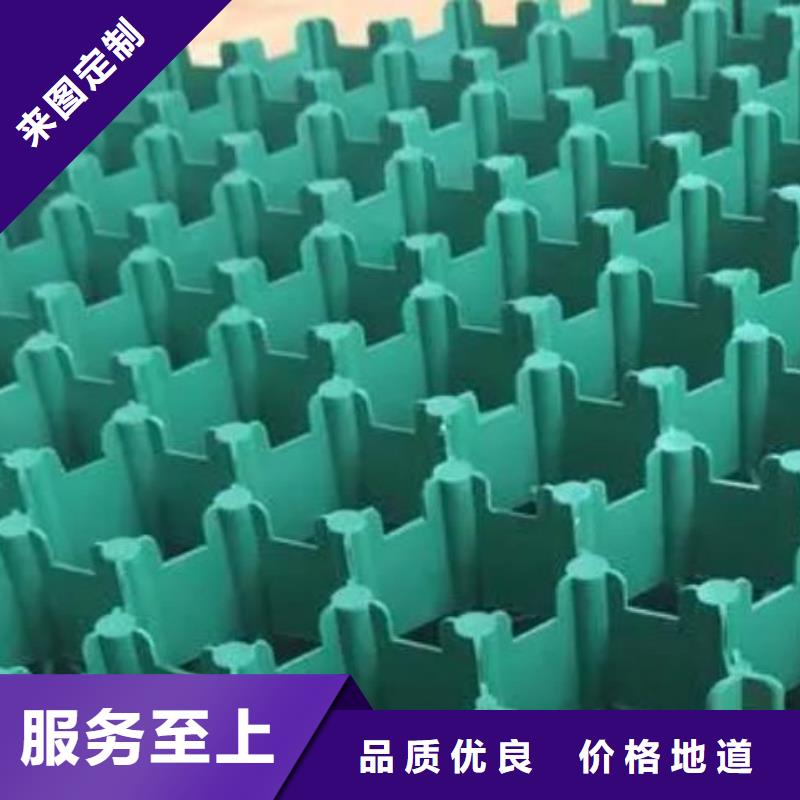 塑料植草格-植草格厂家