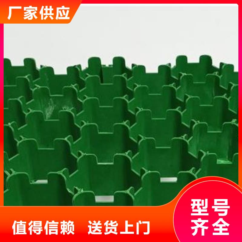 塑料植草格厂家-批发零售价