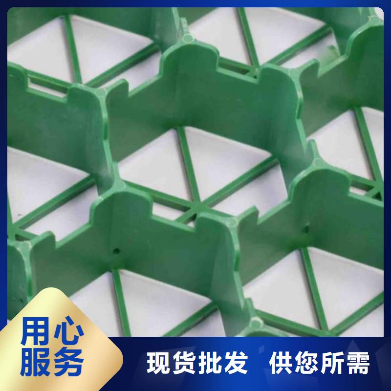 植草格_防护虹吸排水收集系统厂家