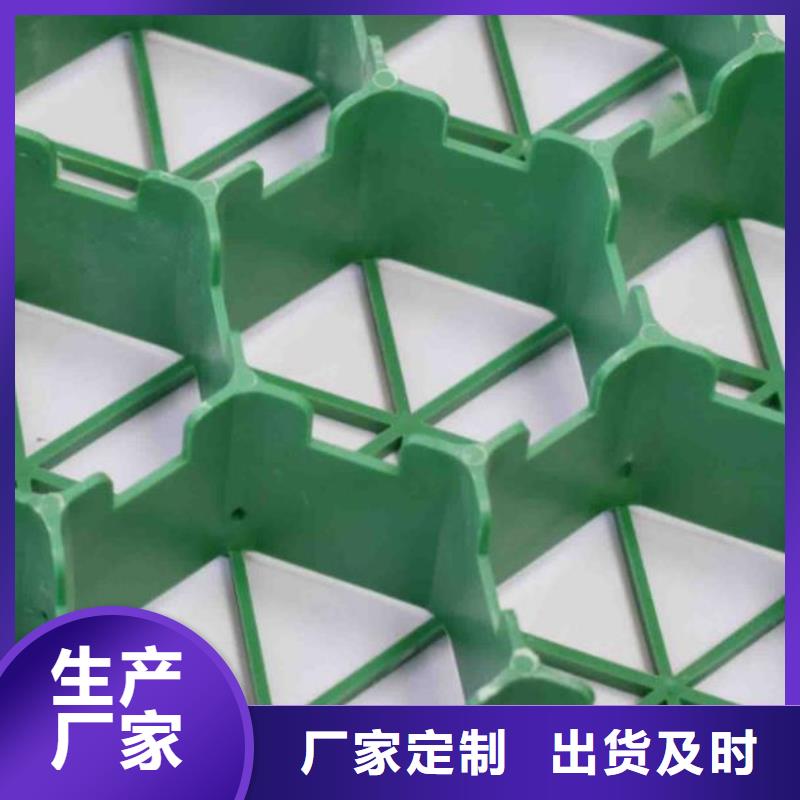 植草格水泥化粪池精工细致打造
