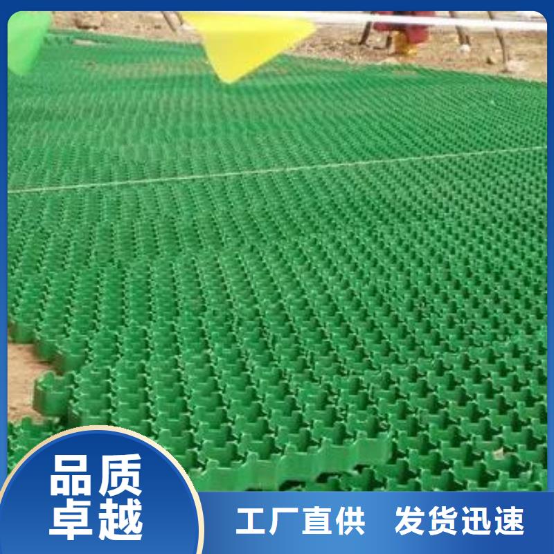 植草格水泥化粪池质量层层把关