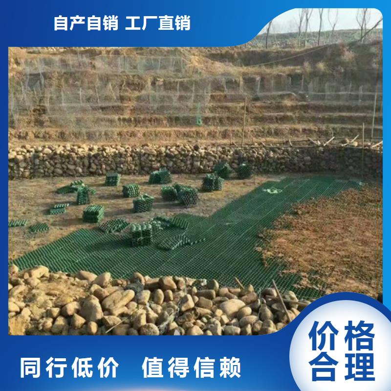 植草格植草格质检严格放心品质