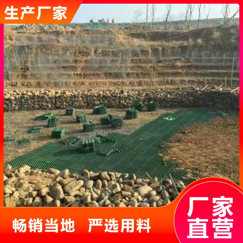 植草格【排水板】品牌专营