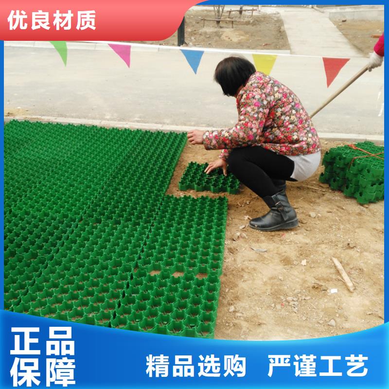 植草格排水板源头厂家量大价优