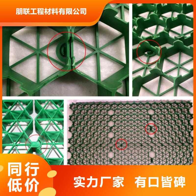 塑料植草格厂家-批发零售价