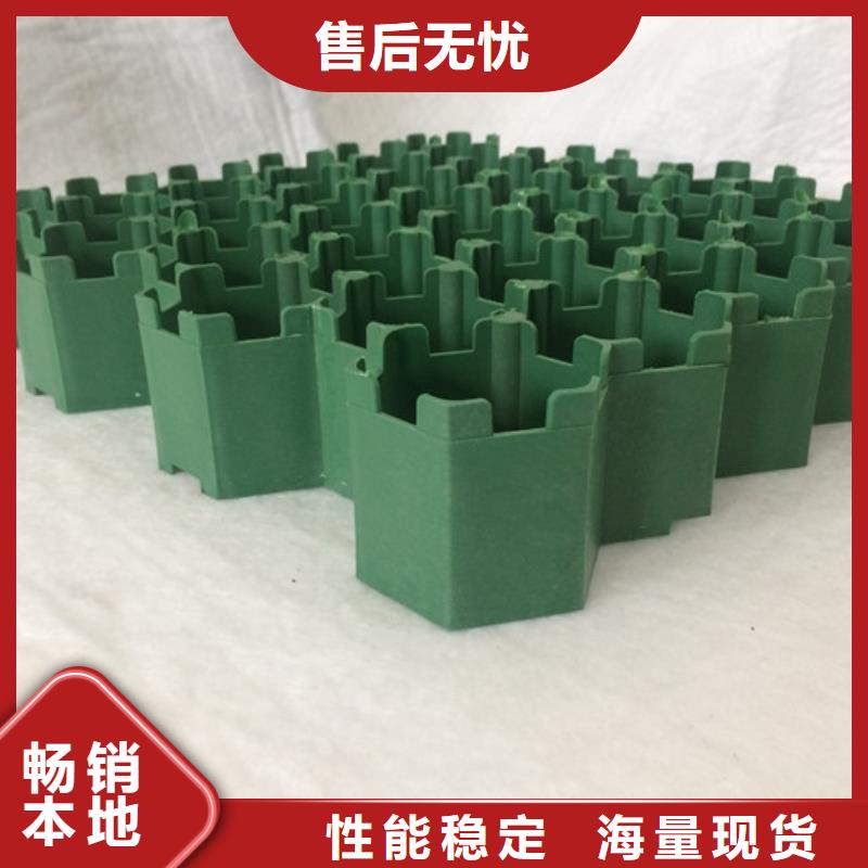 植草格水泥化粪池质量层层把关