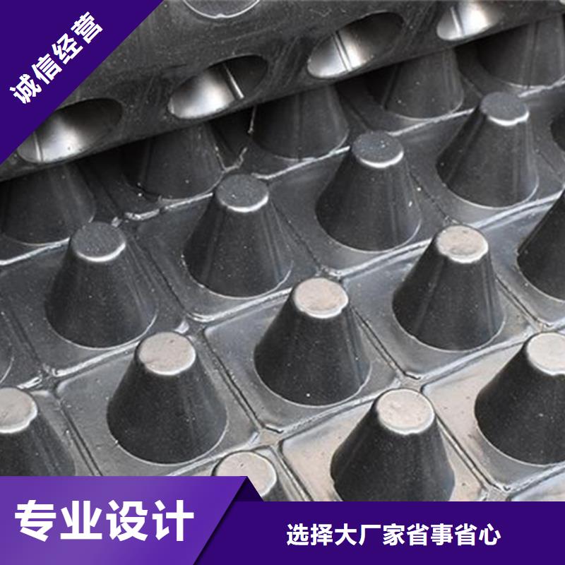 排水板放心购买
