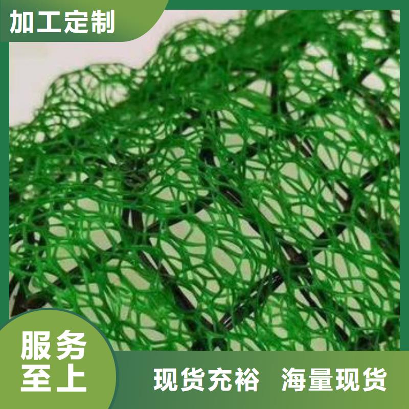 【三维植被网】-车库虹吸排水系统物美价优