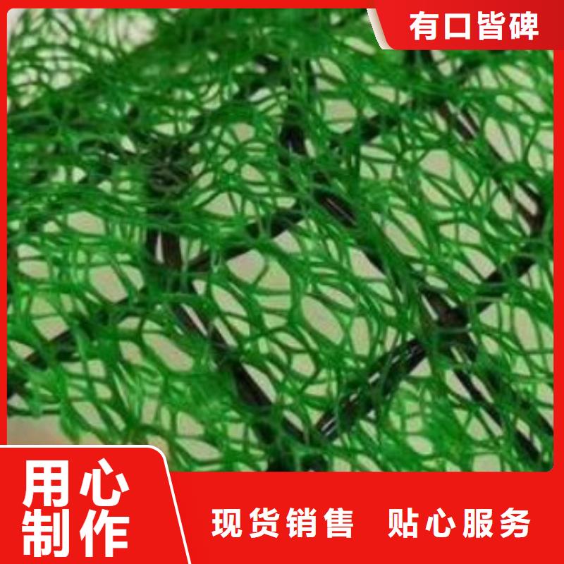 三维植被网_植草格厂家采购