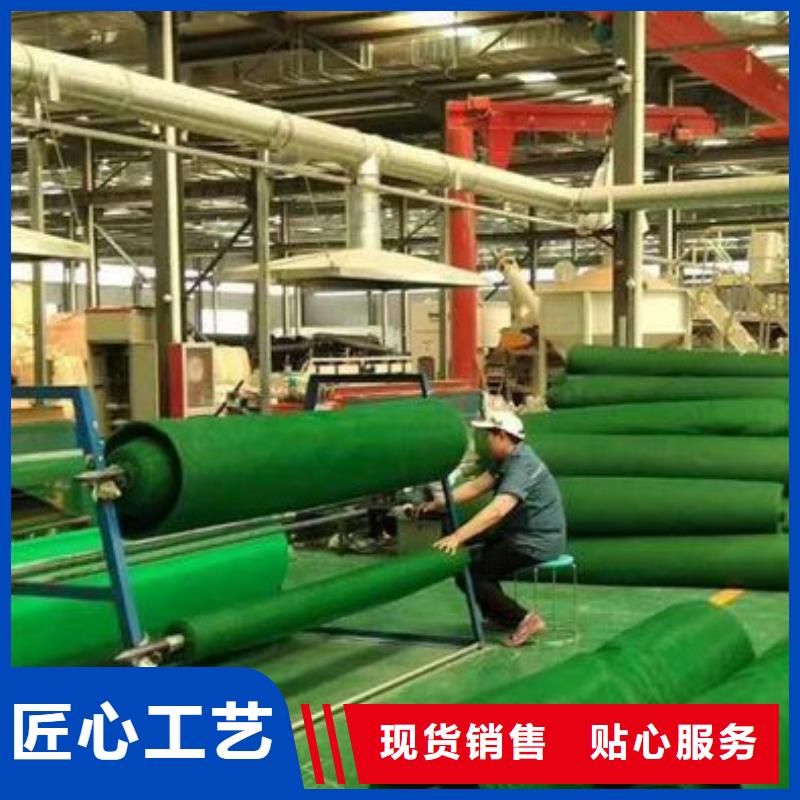 【三维植被网排水板有口皆碑】