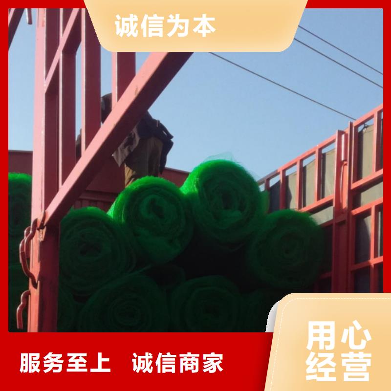 三维植被网_植草格性能稳定