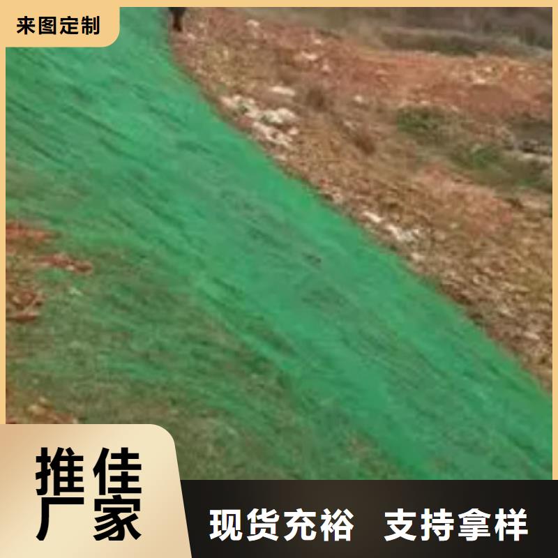 三维植被网_排水板N年生产经验