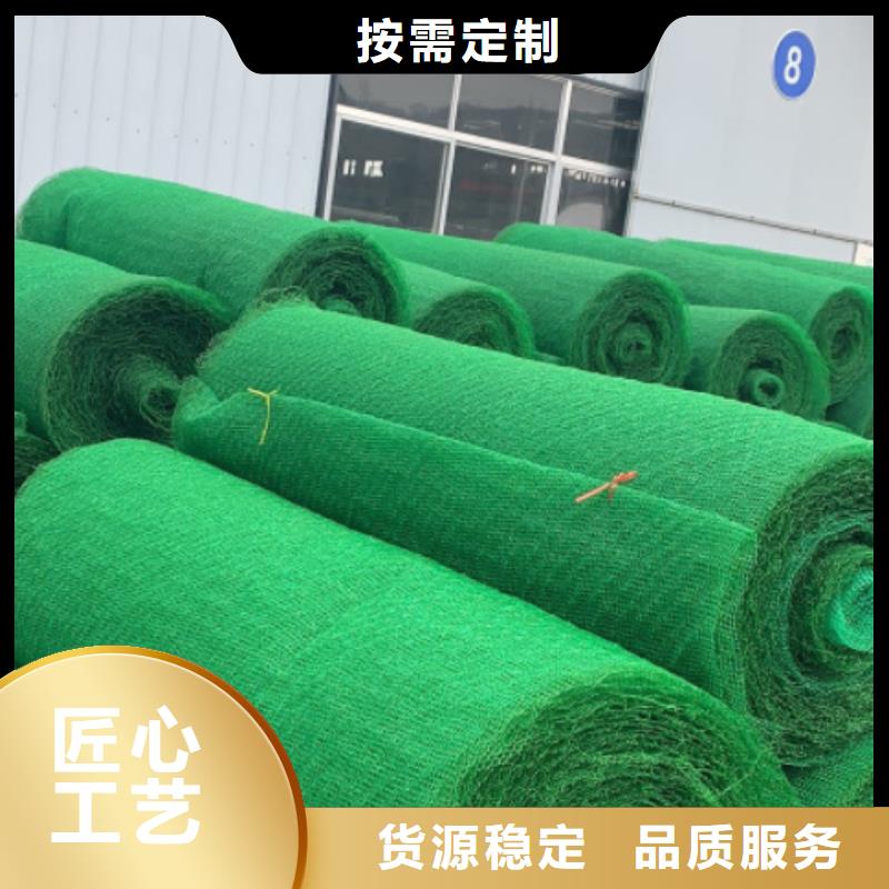 三维植被网植草格厂家拥有先进的设备