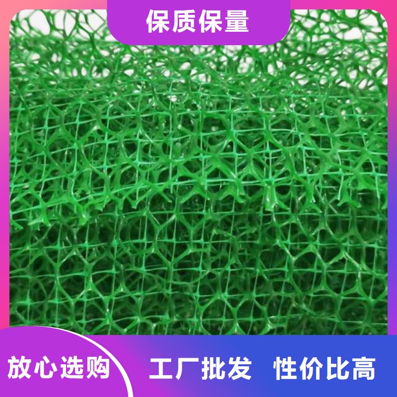 三维植被网-防护虹吸排水收集系统厂家现货供应