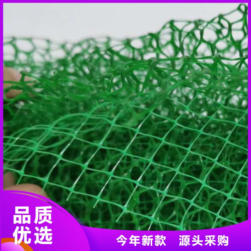 三维植被网植草格厂家拥有先进的设备