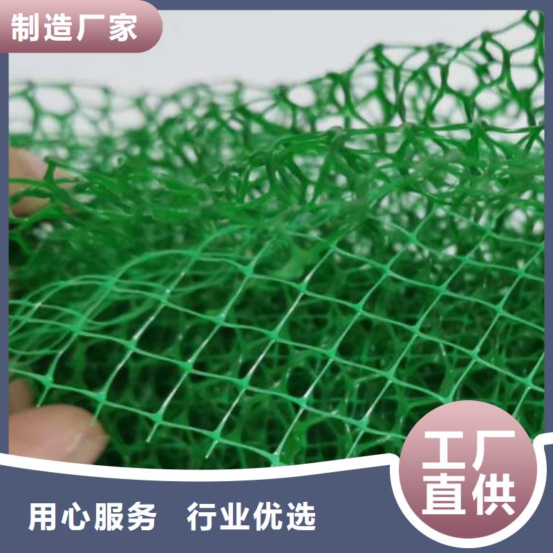 三维植被网批发价多少
