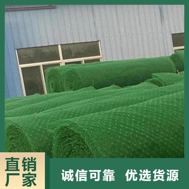 三维植被网厂家直营发售
