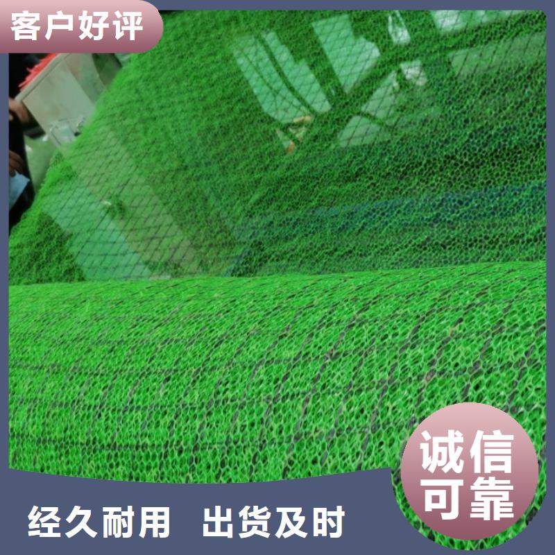 三维植被网水泥化粪池厂家直销值得选择