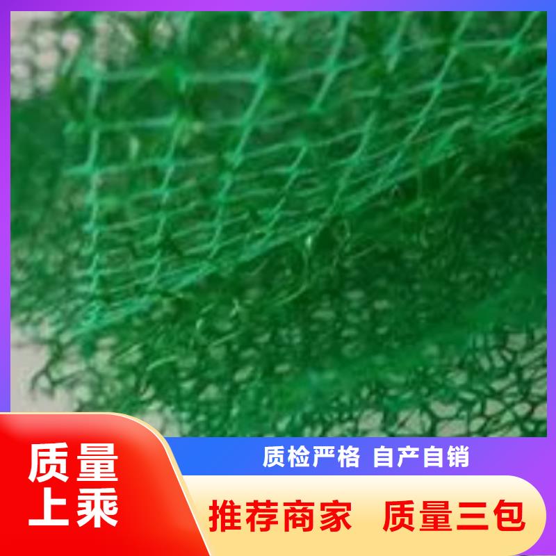 三维植被网防护虹吸排水收集系统质检严格放心品质
