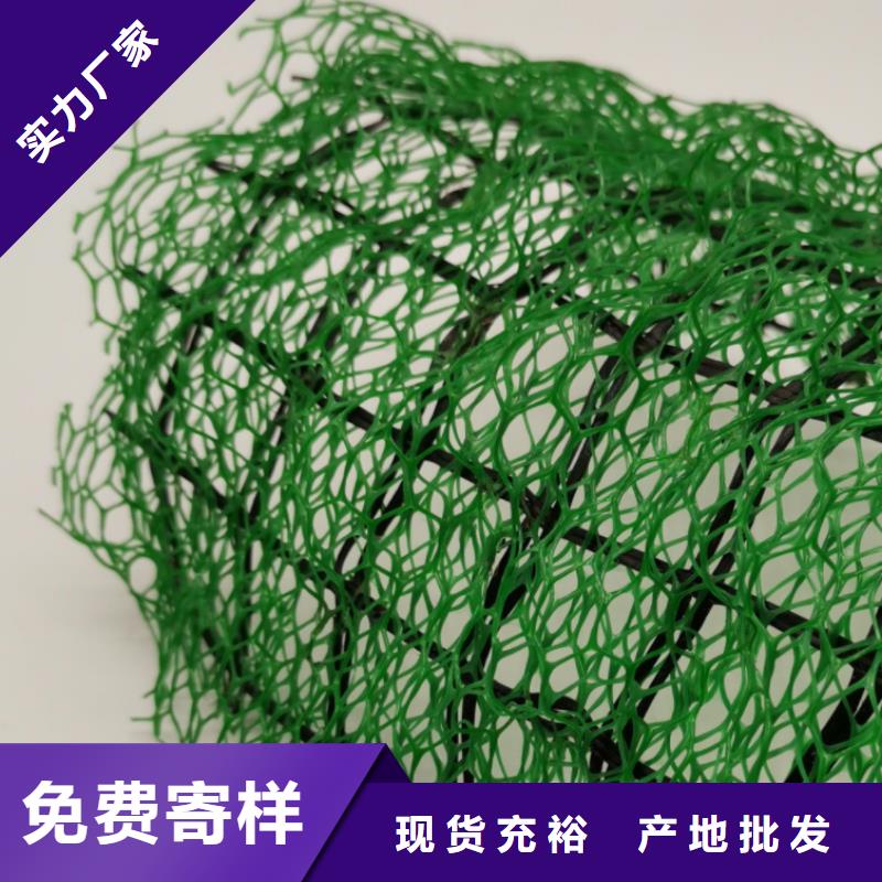 三维植被网【车库虹吸排水系统】源厂直销