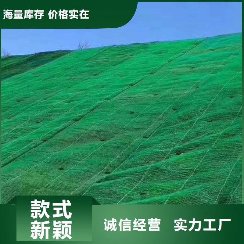 三维植被网_植草格厂家采购