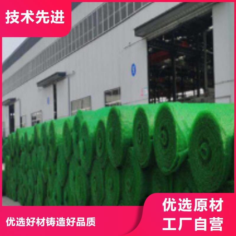 【三维植被网】水泥化粪池厂家案例