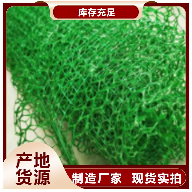 三维植被网,防护虹吸排水收集系统精选好货