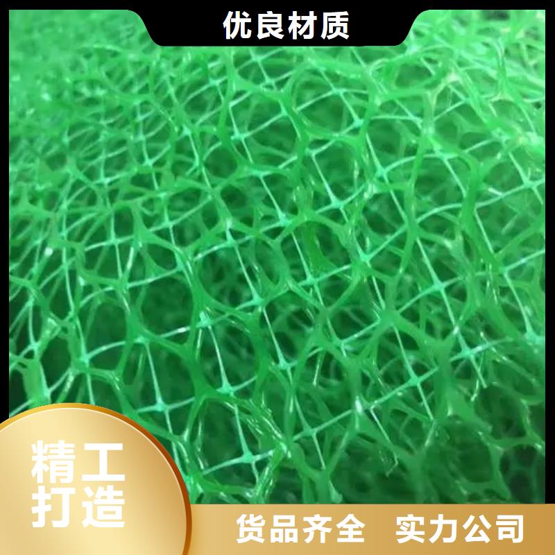 三维植被网植草格厂家拥有先进的设备
