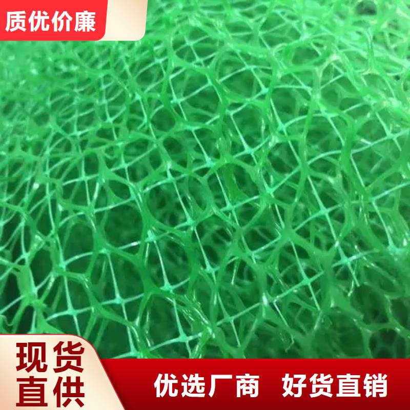 三维植被网批发价多少