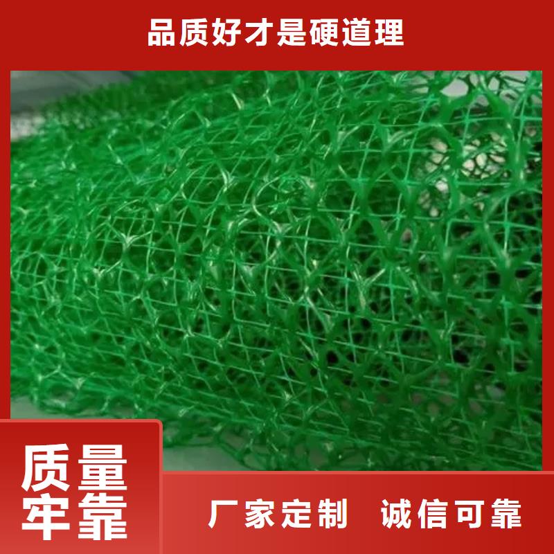 三维植被网_植草格厂家采购