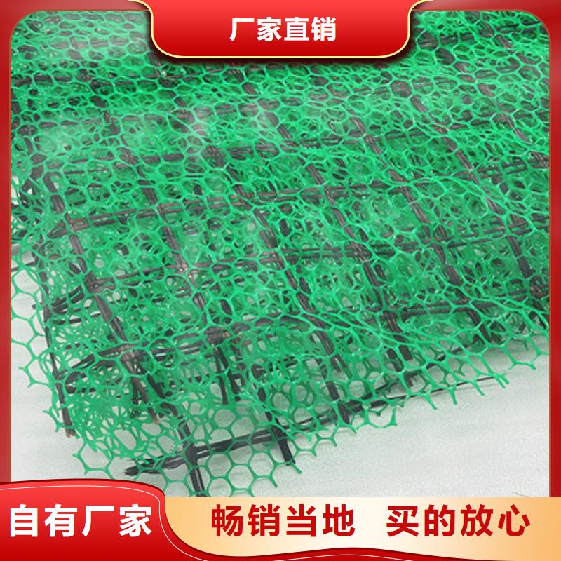 三维植被网_植草格性能稳定